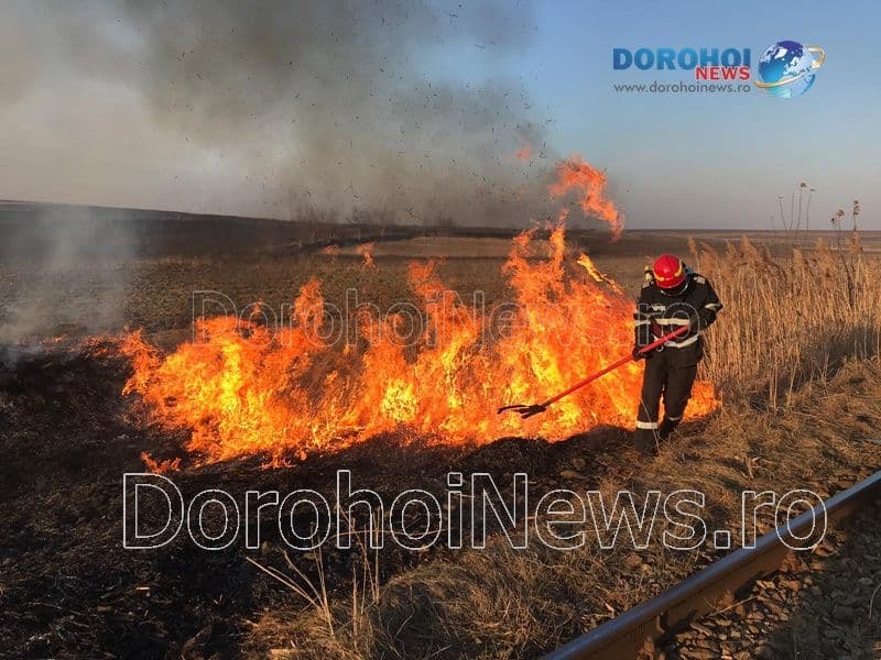Incendiu în Dorohoi! Aproximativ zece hectare de vegetație uscată și stuf distruse de flăcări - FOTO