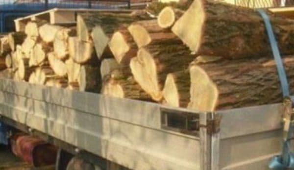 Transport de lemne, cu iz penal. Mai mulți metri cubi de material lemnos confiscat de poliţişti