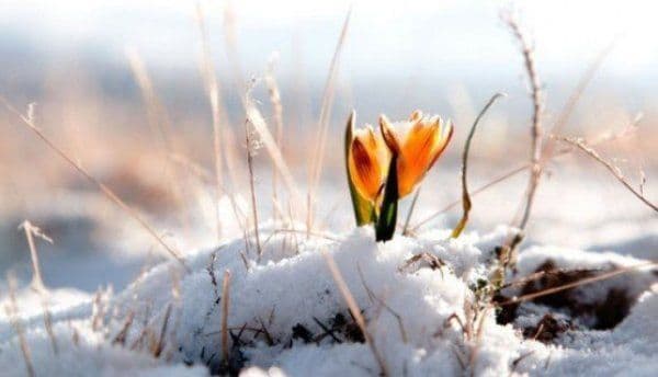 Val de AER POLAR peste România. Prognoza meteo a fost revizuită. Cum va fi vremea până pe 1 aprilie