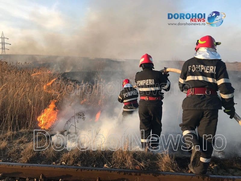 Focuri scăpate de sub control! 11 incendii de vegetație izbucnite de 8 martie