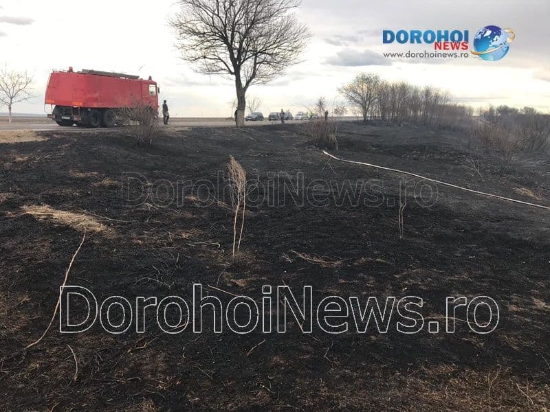 Circulație blocată pe drumul național 29B Dorohoi - Botoșani din cauza incendiilor de vegetație - FOTO