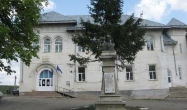 Liceul Teoretic „Anastasie Bașotă” Pomârla organizează licitație de masă lemnoasă. Vezi detalii!