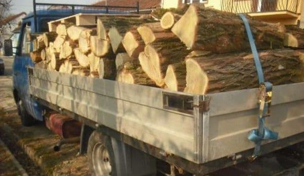 Transport de lemne ilegal descoperit într-o autoutilitară. Vezi ce a pățit șoferul