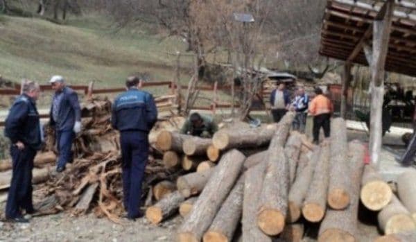 Agent economic amendat cu 10.000 de lei pentru comerţ fără a întocmi şi elibera documente justificative