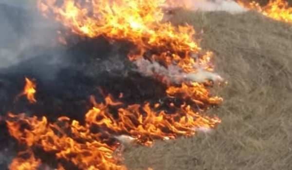 Ibăneșteni, Atenție la Foc! STOP incendiilor de vegetație uscată!