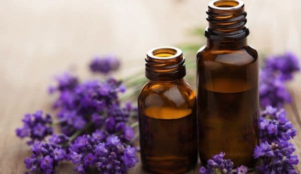 Proprietăți terapeutice pe care le deține lavanda