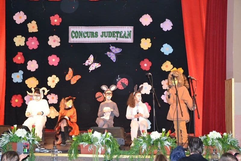 Concurs Judeţean de Interpretare Artistică la Sala Teatrului Dorohoi - FOTO