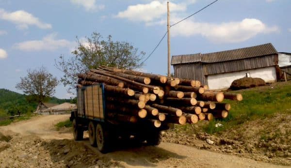 Polițiștii dorohoieni au descoperit un transport illegal de leme făcut cu o mașină care avea actele falsificate
