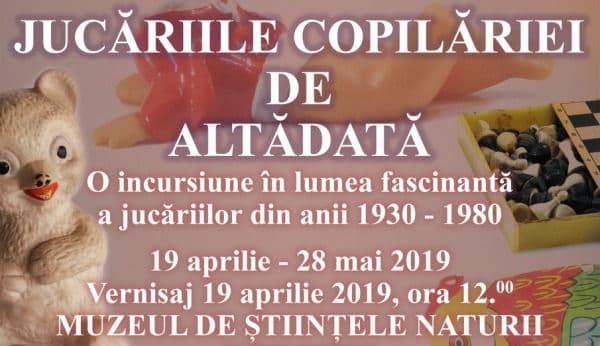 Expoziție de jucării la Dorohoi