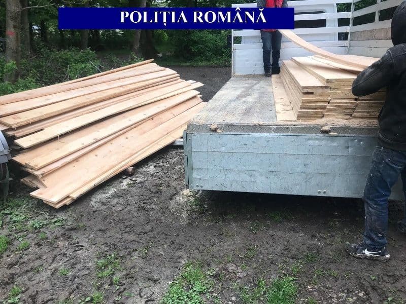 Transporta ilegal lemn! A rămas şi fără bani şi fără „marfă”