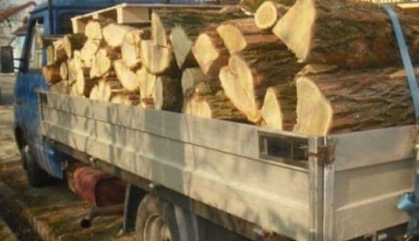 Material lemnos confiscat de poliţişti. Un sucevean a fost amendat cu 500 de lei