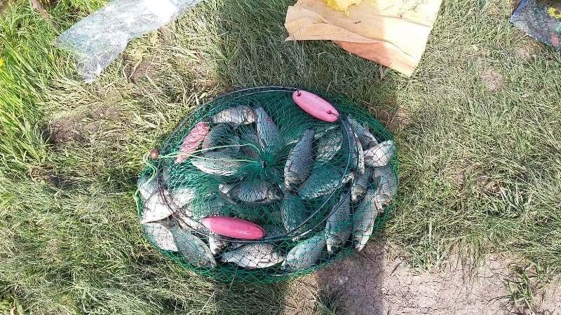 Pescuit în perioada de prohibiție sancționat de jandarmi - FOTO