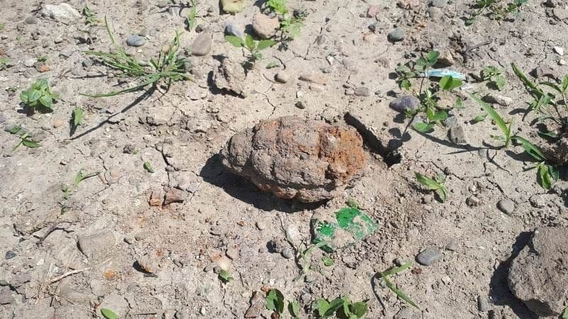 Descoperire periculoasă în curtea unui dorohoian - FOTO