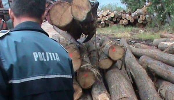 Material lemnos și numere de înmatriculare confiscate de polițiști pe raza comunei Hilișeu Horia