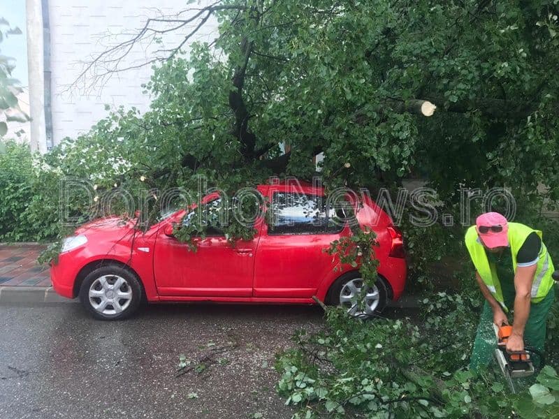 Vijeliile şi grindina fac ravagii: Acoperișuri luate de vânt, drumuri blocate, un copac a căzut peste o maşină la Dorohoi - FOTO