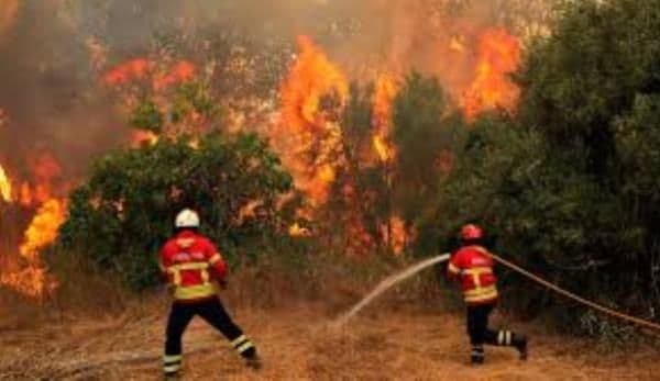 Avertizări de călătorie pentru Grecia și Portugalia: Risc de incendii și temperaturi ridicate