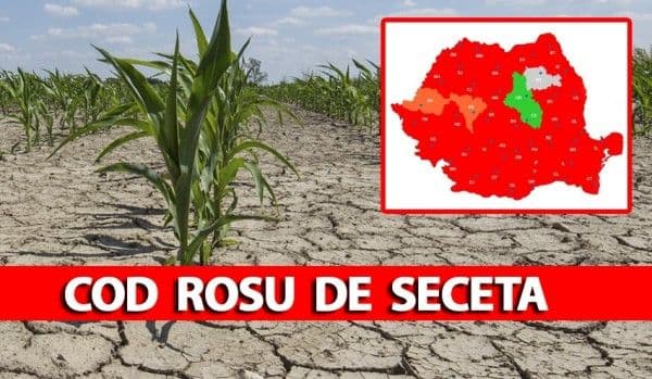 COD ROȘU de secetă în România! ANM anunță caniculă severă și fenomene extreme