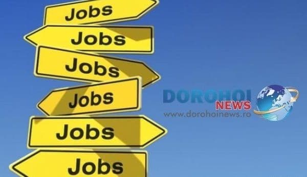 453 locuri de muncă vacante în Spaţiul Economic European