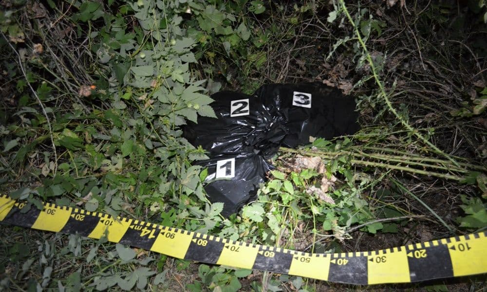 Țigări de contrabandă confiscate la Punctul de Trecere a Frontierei Stânca - FOTO