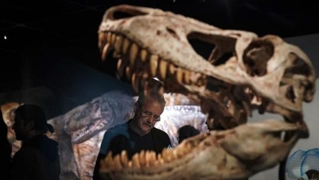 Descoperire: Tyrannosaurus Rex avea un „aparat de aer condiționat” în craniu