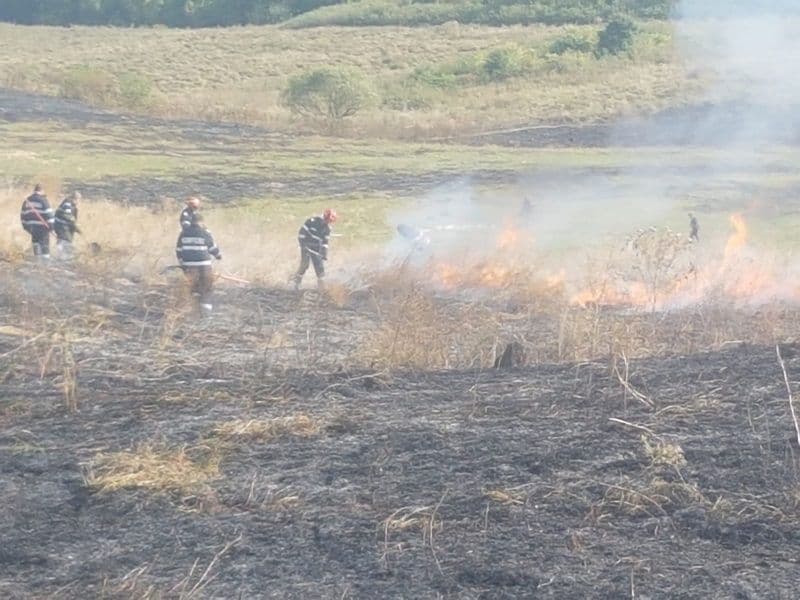 Incendiu puternic la Văculești! 20 de pompieri dorohoieni intervin pentru stingere – FOTO