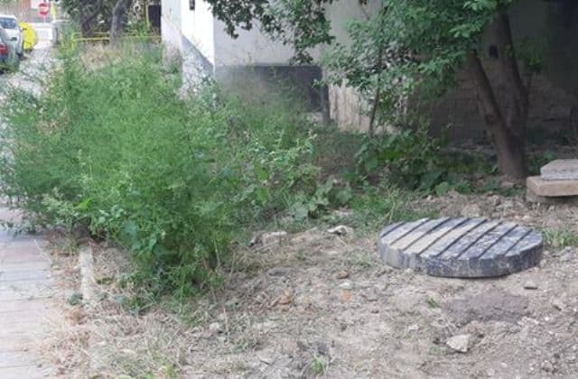 Primim la redacție – „De 20 de ani, niciodată nu s-a tăiat și aici iarba” - FOTO