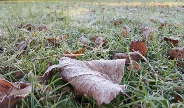 Cea mai scăzută temperatură din acest sezon: minus 4,2 grade Celsius, în această dimineață