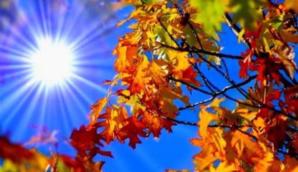 Specialiștii de la ANM au emis prognoza meteo pentru 30 septembrie – 28 octombrie. Cum va fi vremea luna următoare?