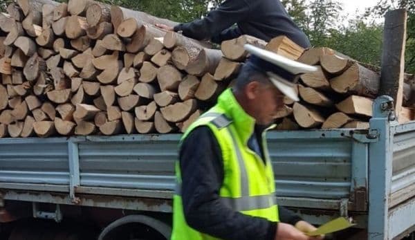 Transport ilegal de lemn, depistat de polițiști în Dorohoi! Șoferul a fost sancționat și marfa confiscată