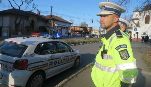 Mașină burdușită cu pilote fără documente legale depistată în trafic. Șoferul a rămas fără marfă și amendat pentru comerţ illicit