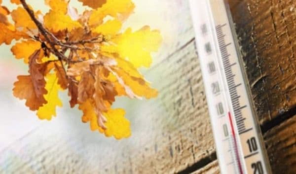 Scăpăm de frig! Un val de aer tropical aduce temperaturi de peste 20 de grade în România
