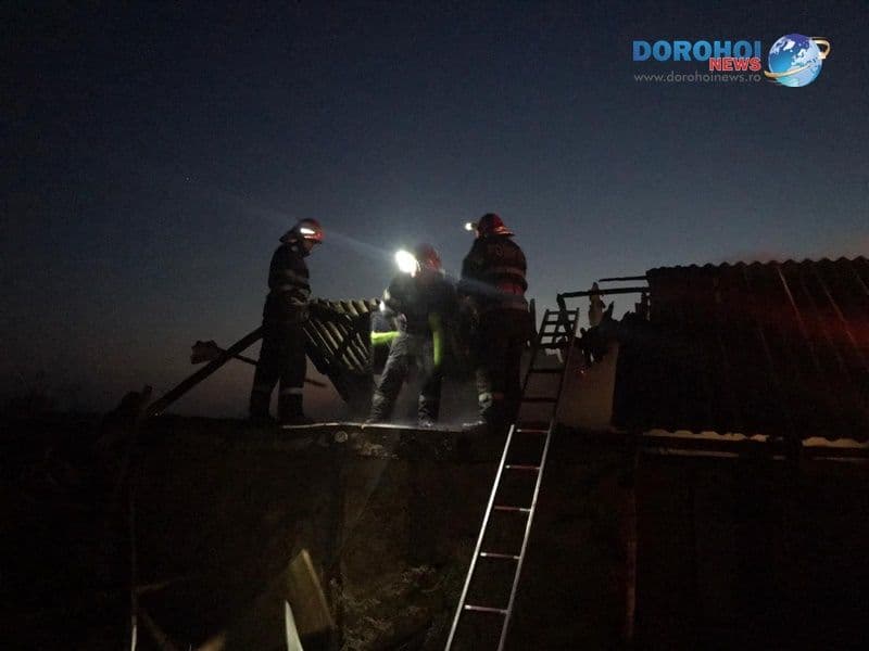 Incendiu puternic la un adăpost de animale din Dimăcheni! Pompierii dorohoieni au intervenit pentru stingere - FOTO