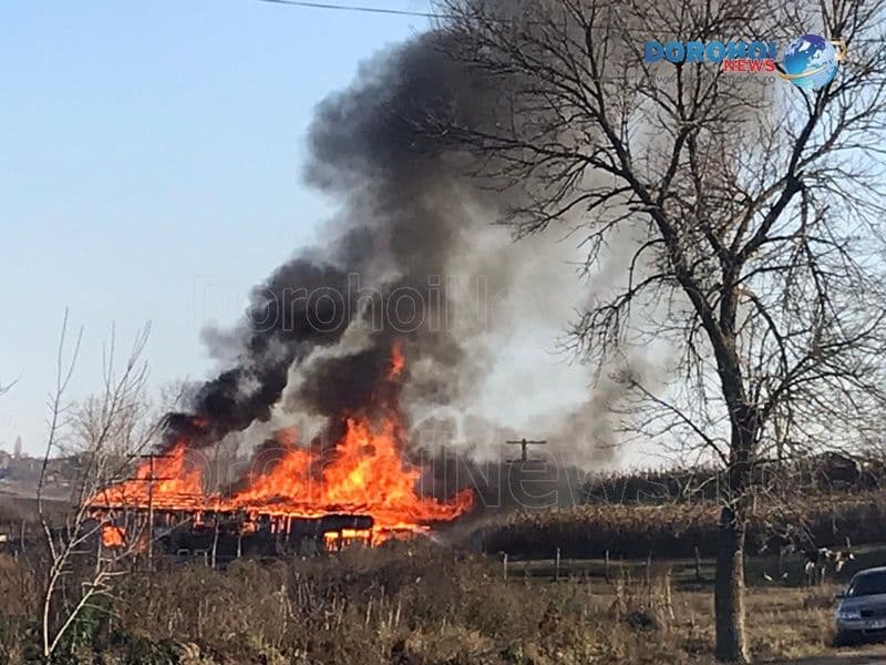 Incendiu puternic la Cobâla! Pompierii dorohoieni au intervenit pentru stingere - FOTO