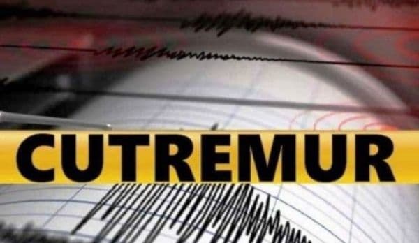 Două cutremure în Vrancea, miercuri dimineață