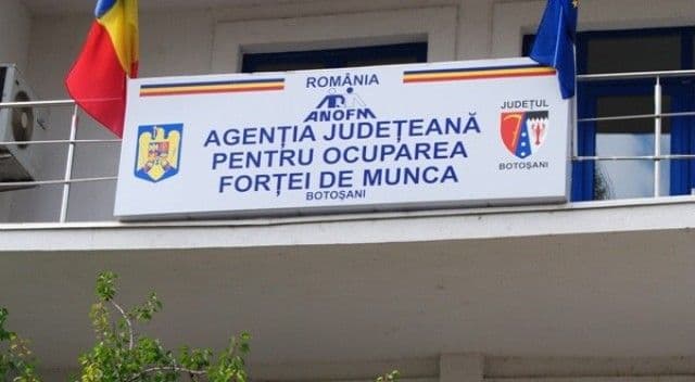 4.994 persoane angajate prin intermediul AJOFM BOTOȘANI