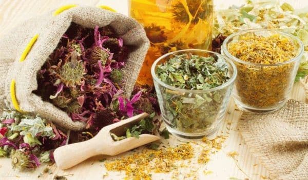 Trei plante care te ajută să-ţi reglezi tensiunea