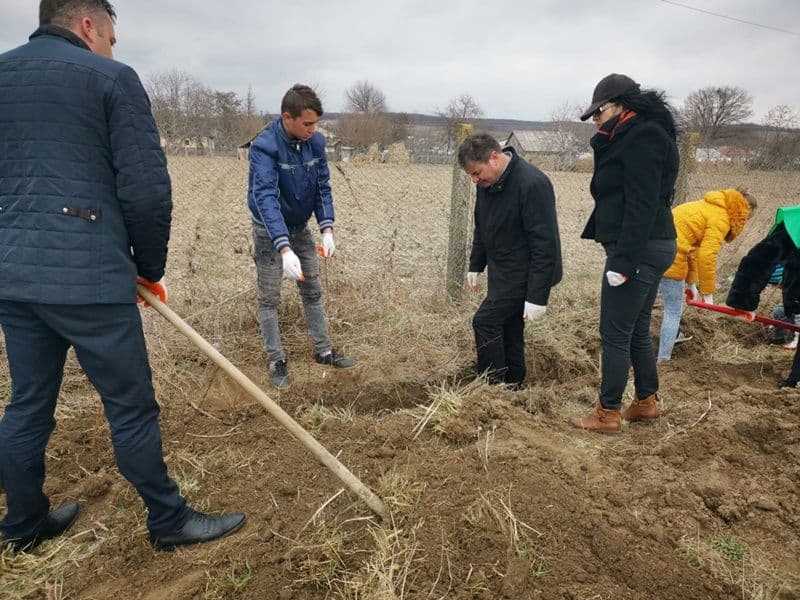 Plantare Vf.Campului_01