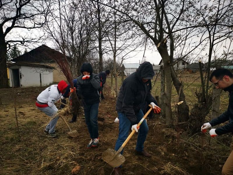 Plantare Vf.Campului_08