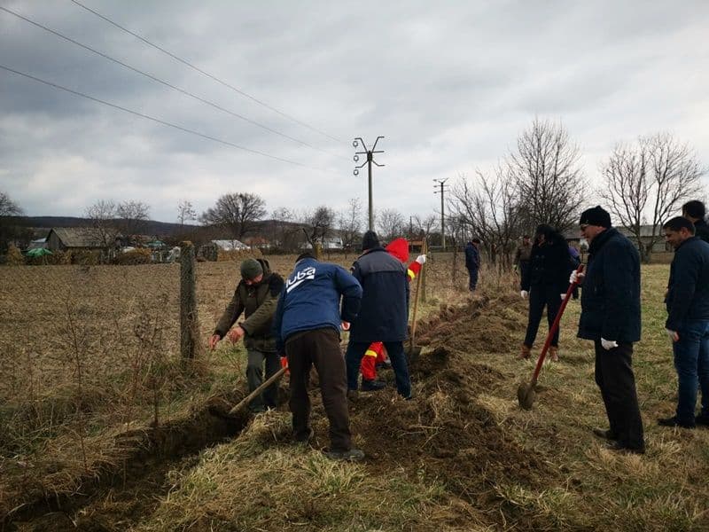 Plantare Vf.Campului_11