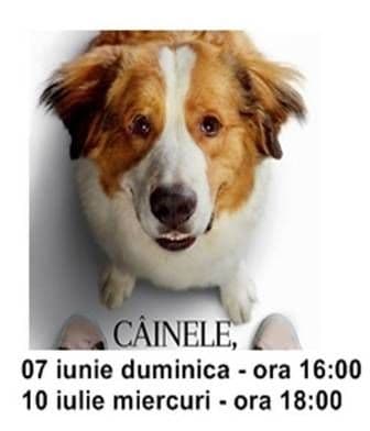 cainele