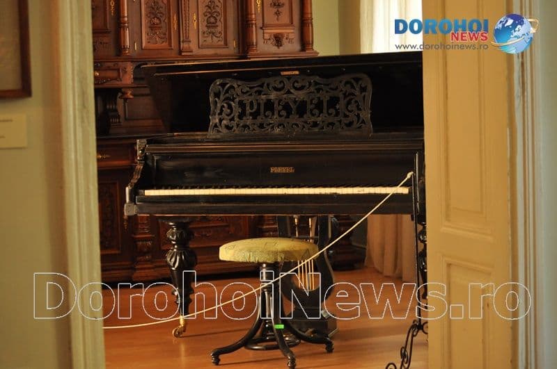George Enescu 138 ani_z_16