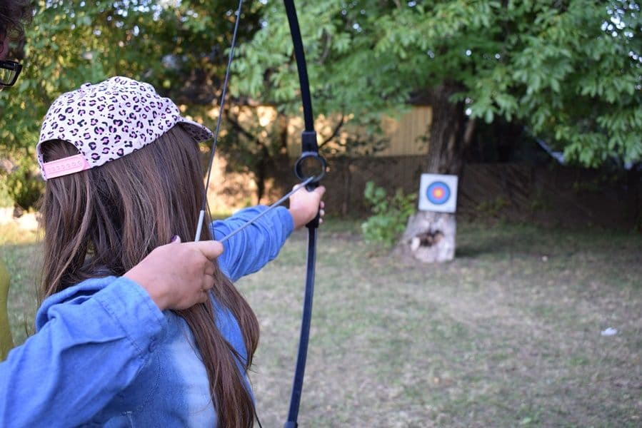 pridvorul satului 15