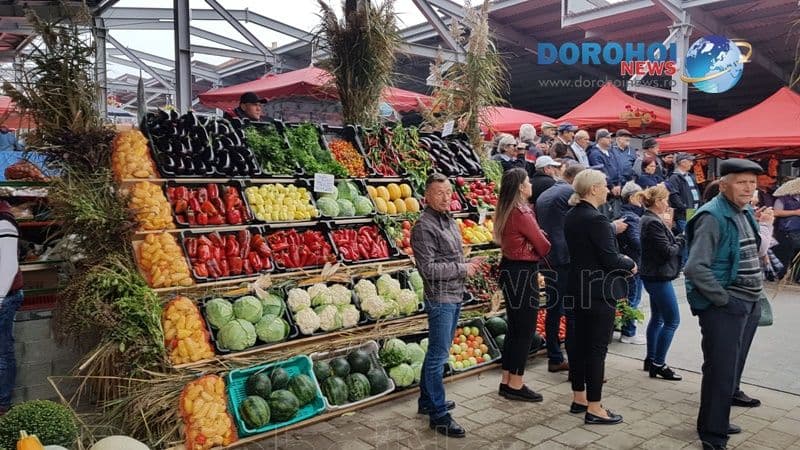 Zilele Recoltei la Dorohoi_10