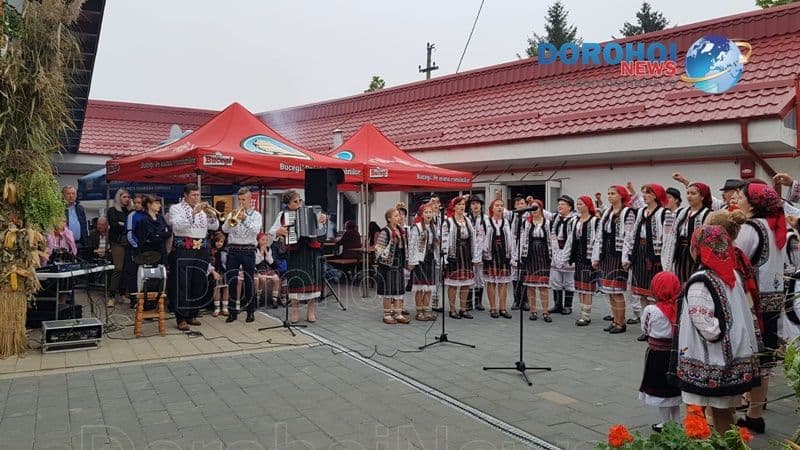 Zilele Recoltei la Dorohoi_14