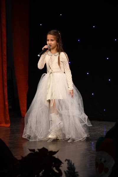 festival iarna 11