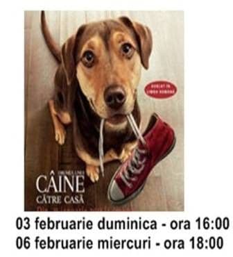 drumul unui caine