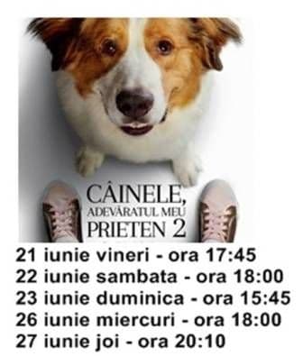 cainele