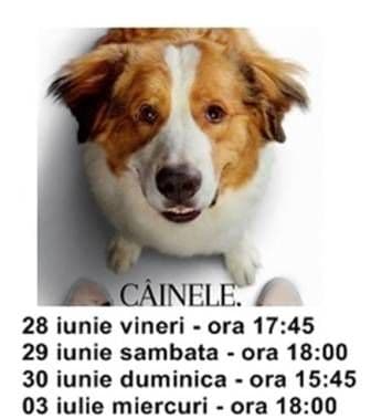 cainele