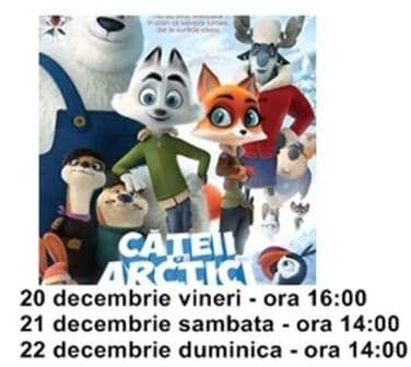 cursa pe zapada