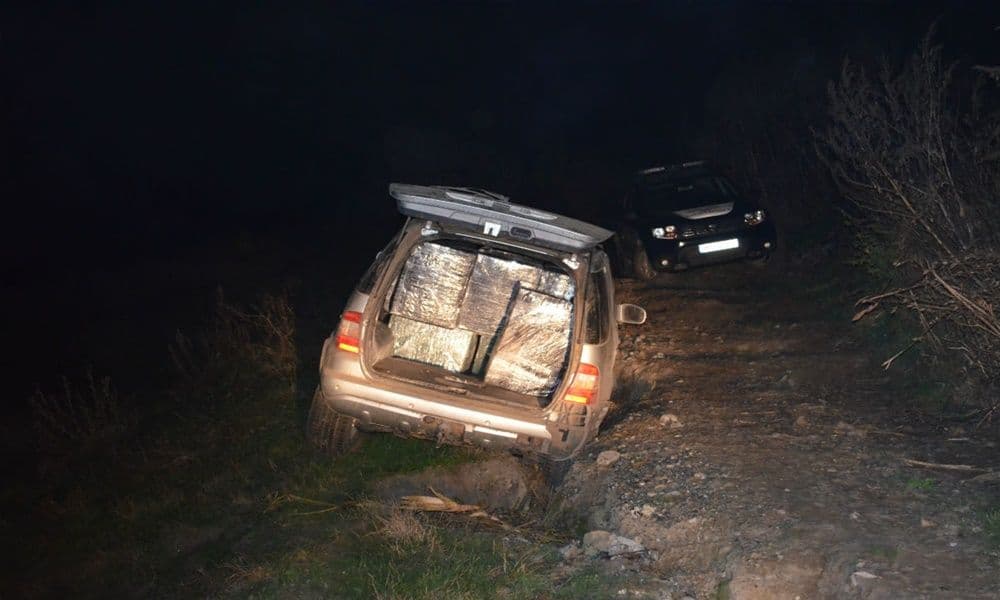 autoturism tigari 01
